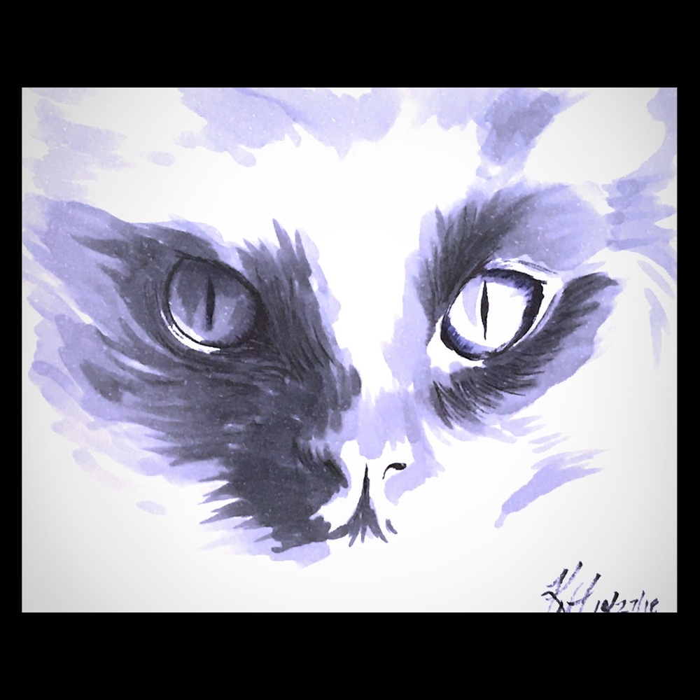 Meet your Posher, KH